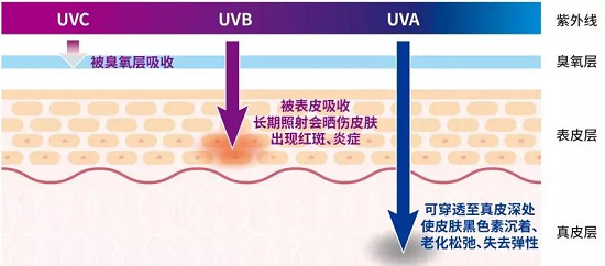 【诺琦格】防晒，真的要等到夏天才开始么？